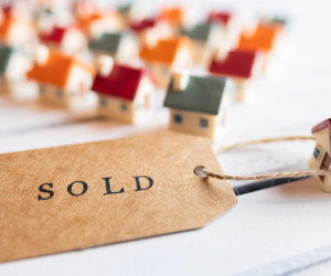 cc2-web-pic-min-compressed