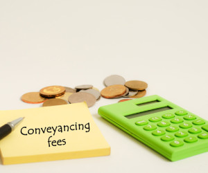 cc5-web-pic-min-compressed